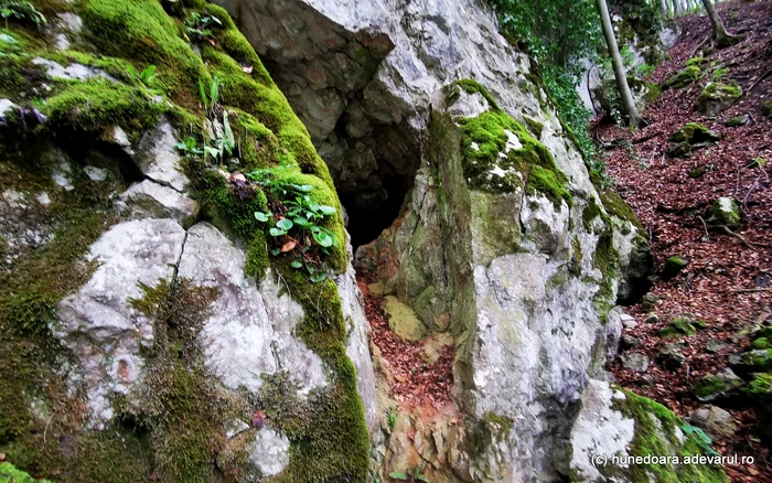 Cave from Valea Rea. Photo: Daniel Guță