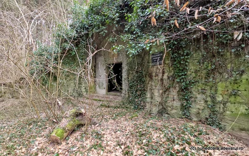 Lazar family crypt in Lăpușnic photo Daniel Guță Adevărul (15) JPG