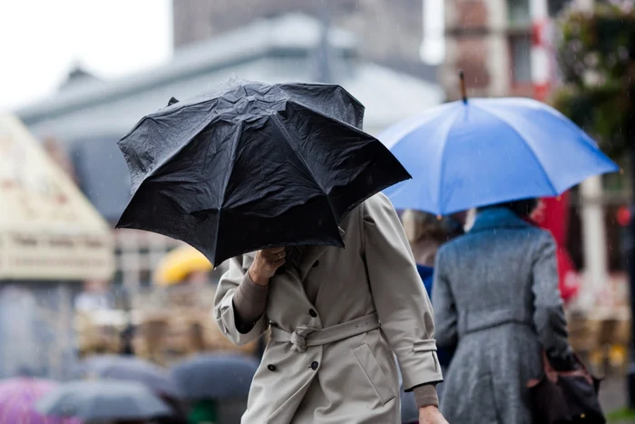On Friday, April 11, there will be mixed rainfall. Photo: Shutterstock