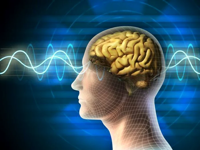 Lack of vitamin K affects photo brain: Shuterstock