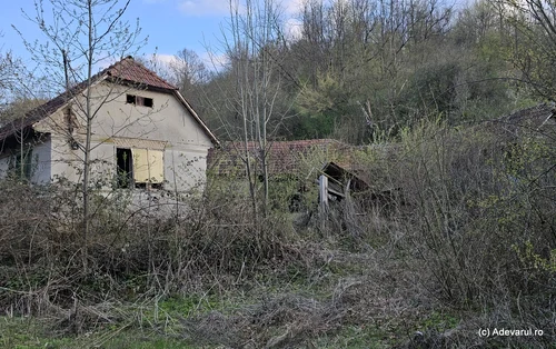 Bulza Village Photo Daniel Guță Adevărul (34) JPG