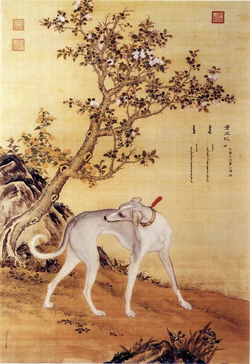 Chinese Ogaro photo wikipedia