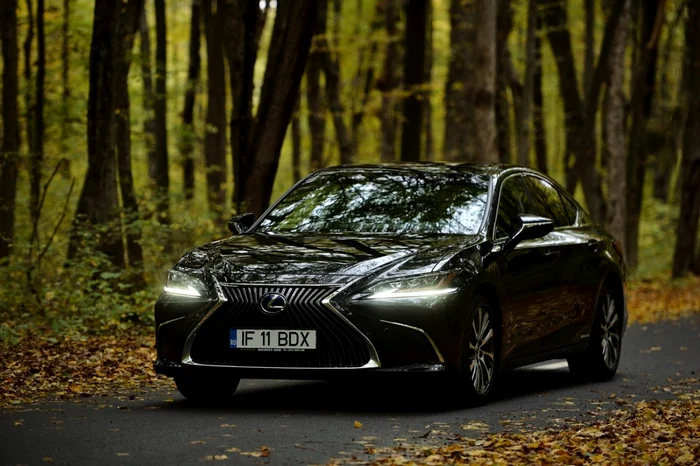 Lexus car running through the woods