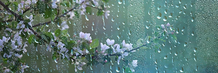 The weather will generally be unstable in the western half of the country: Shutterstock