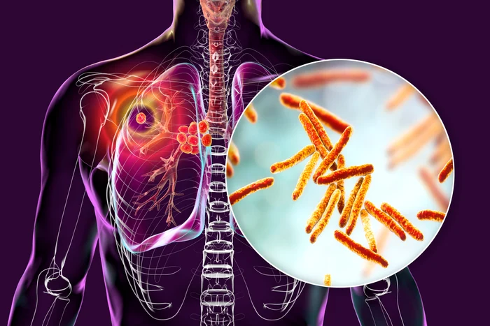 Vruși i in the human body