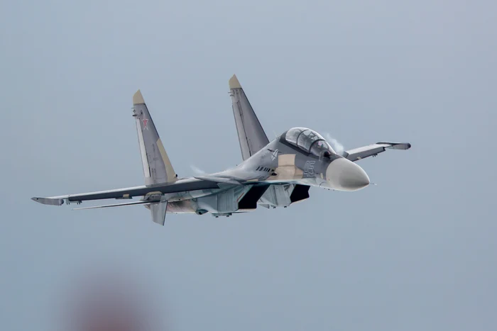Partisians found Russia would have destroyed a Su-30sm photo shutterstock
