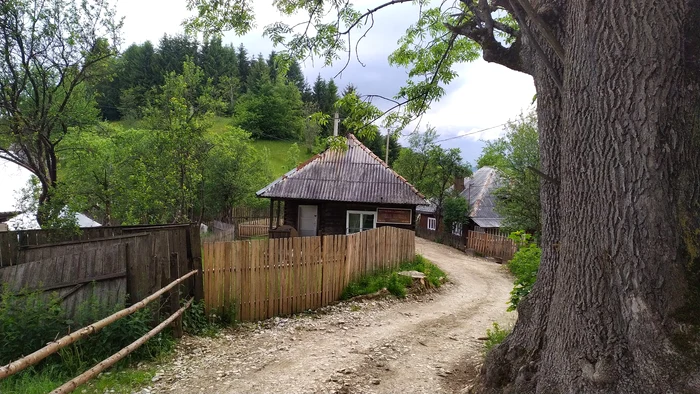Goiești, village from Vidra commune. Source: Vidra commune. Facebook