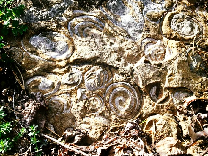 Hill with snails. Source: Vidra commune. 