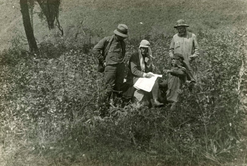 Commission of the American organization 