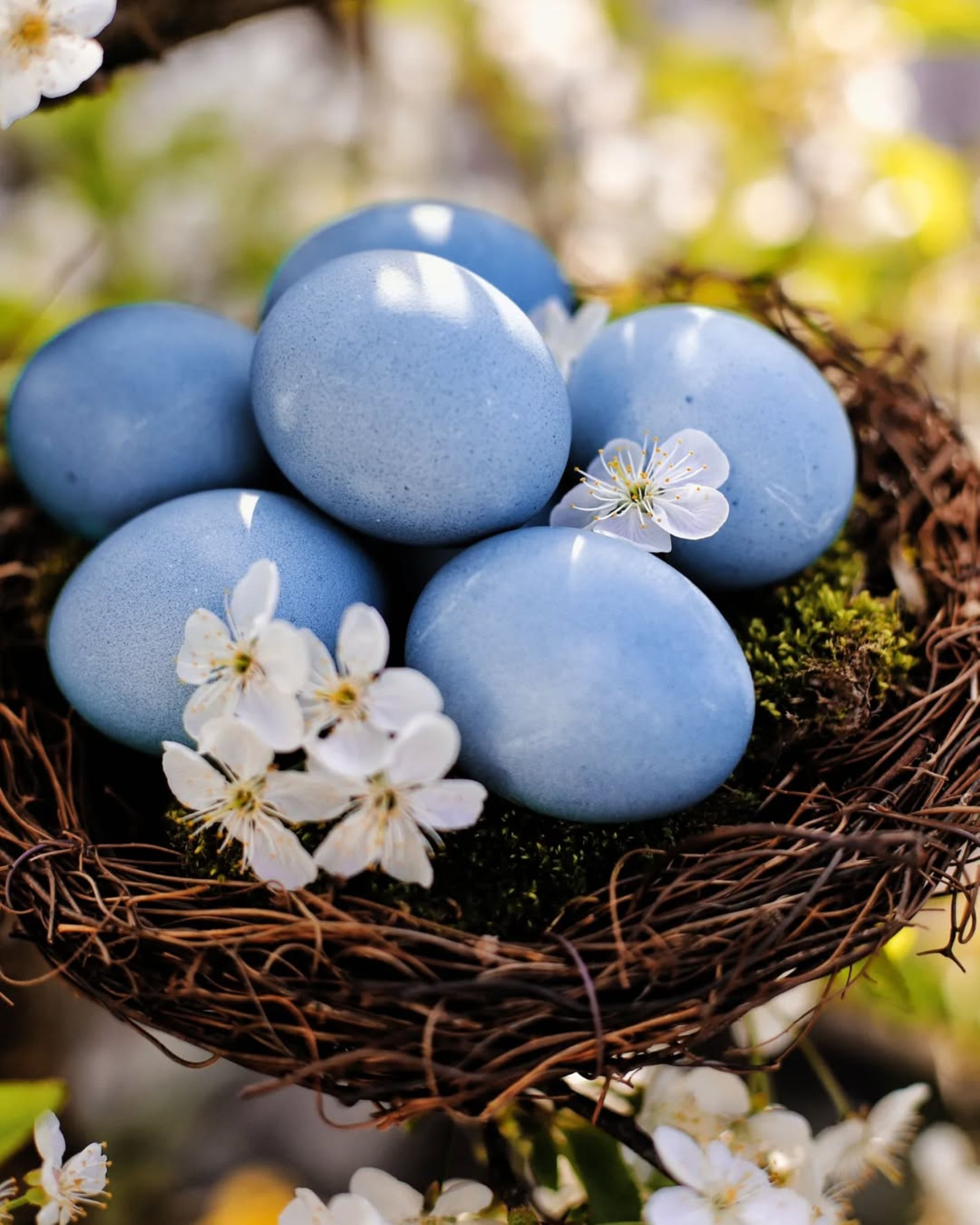 Add it to the water - and the colors will become blue. Life hack, how to paint eggs in Easter without chemistry photo 1