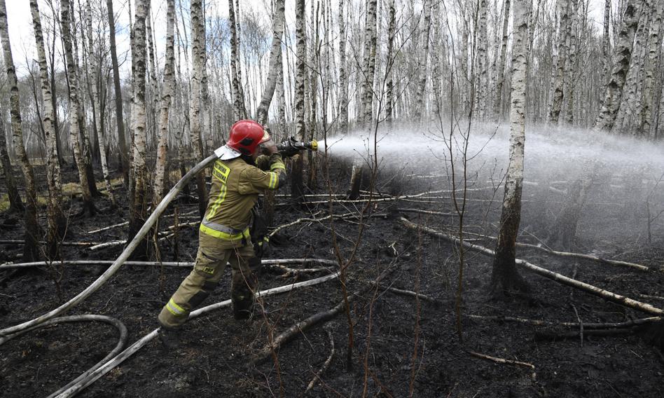 The fire is devastated by the Biebrza National Park. It already covers over 60 ha