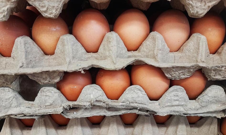 Egg Empire. Poles eat and produce more and more eggs, they also become more picky