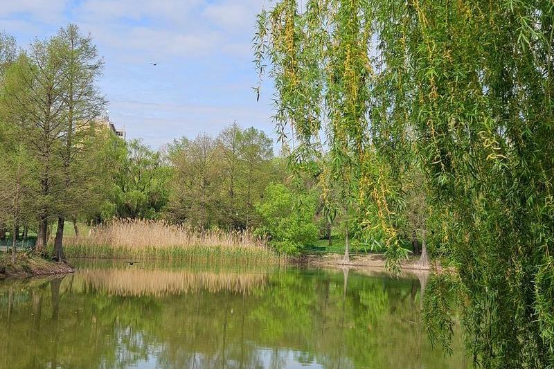 Spring landscape, photo: Vlad Barza / Hotnews.ro