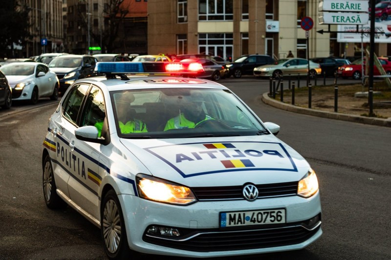 Man from Tulcea, detained after entering a woman's yard and killed two dogs who had scared her child