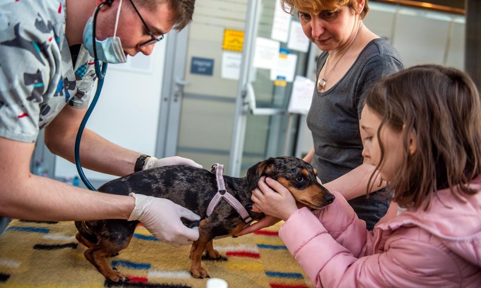 24 -hour SOR for animals. No other clinic will have such equipment