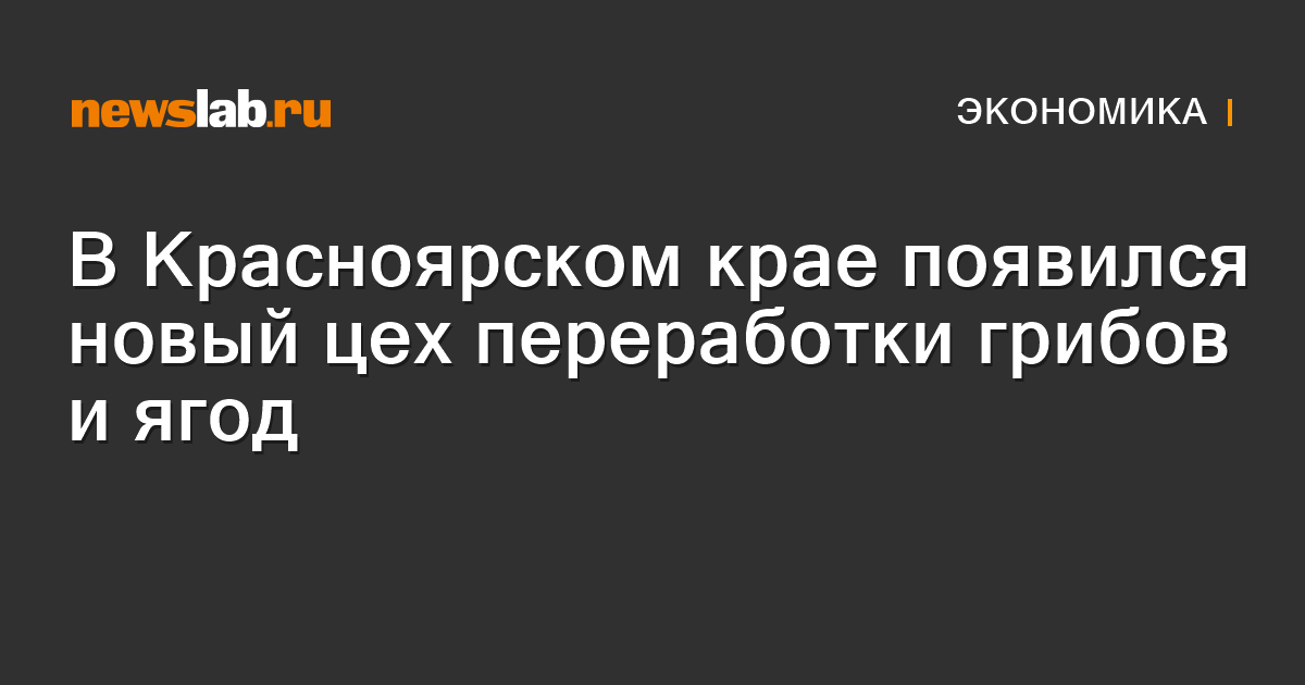 A new workshop of mushrooms and berries appeared in the Krasnoyarsk ...