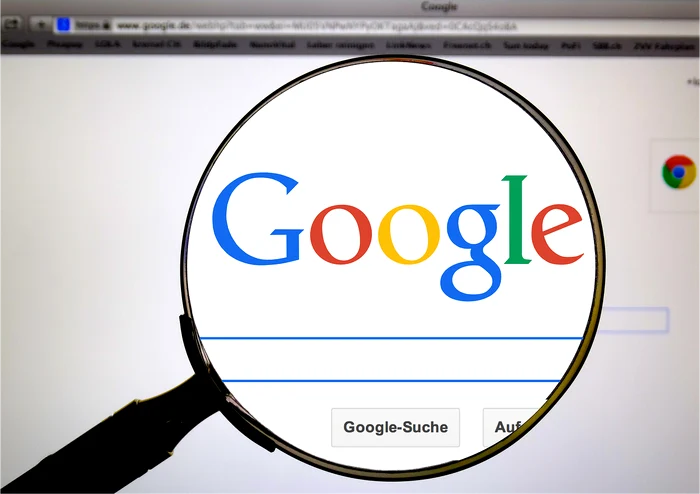 The magnifying glass on Google