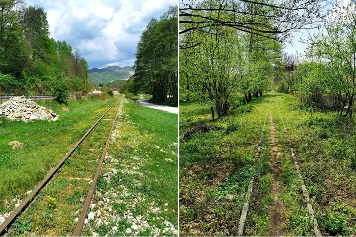 The route of Mocăniței from the Bistrita Valley from Oltenia under Mount Florin Stoican Facebook 