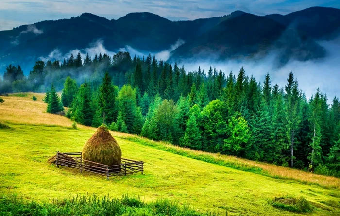 Landscape of Bucovina Photo Archive