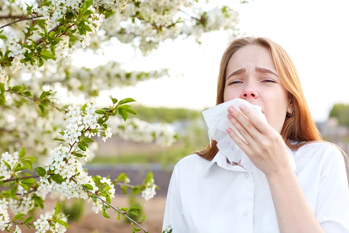 Woman sneezing near a flowering tree - a sign of photo allergy Yale Health