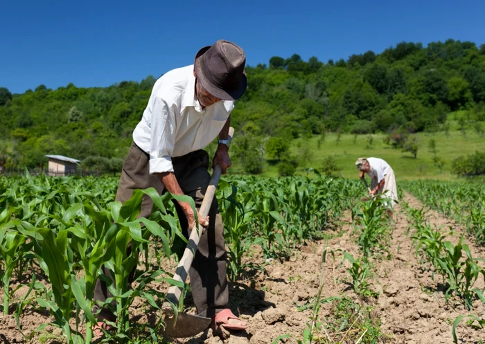 Agriculture pensioners have the smallest photo pensions: Shutterstock