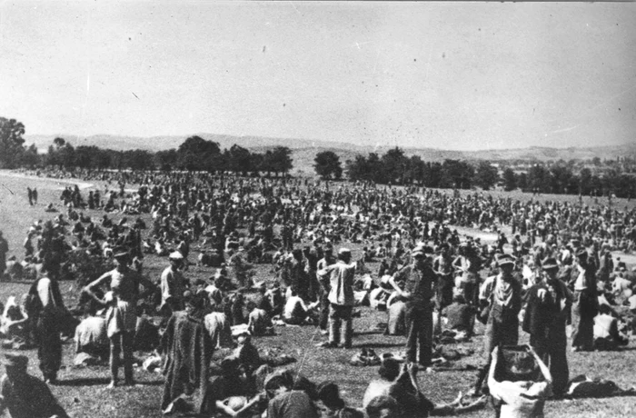 German, Croatian and Slovenian soldiers captured photo wikipedia