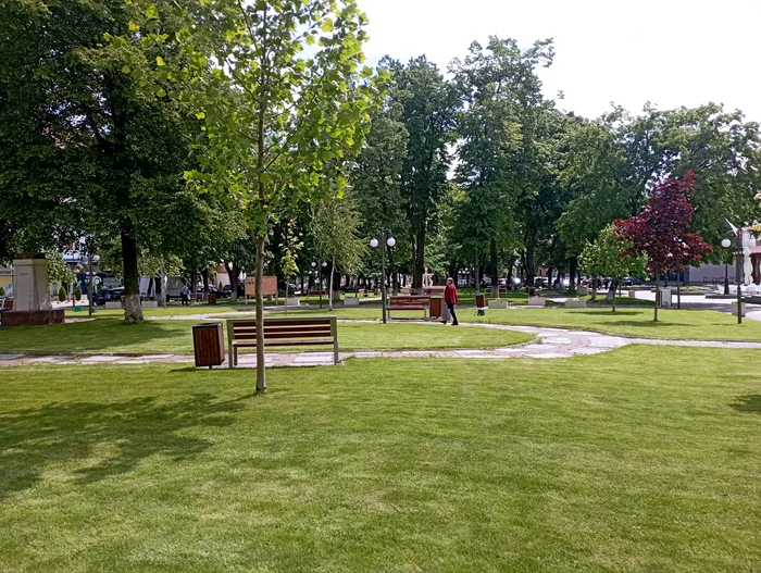 Park in Darabani PHOTO Cosmin Zamfirache