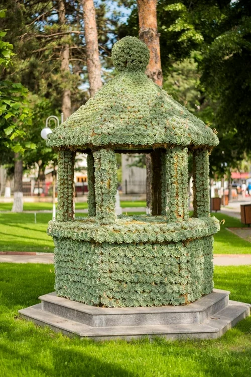 Flower fountain from Darabani Photo City Hall Darabani
