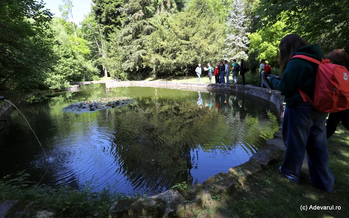 The Arboretum of Simeria. Photo: Daniel Guță. TRUTH