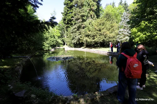Park Dendrological Simeria Photo Daniel Guță Adevărul (35) JPG