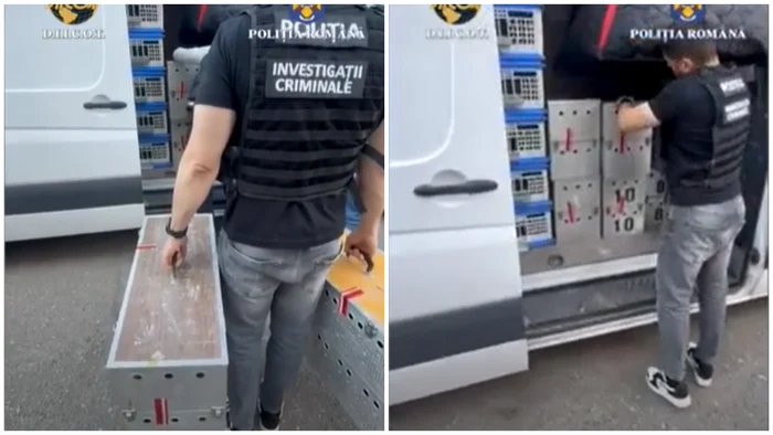 The pigeons were returned to the owners. Photo: YouTube video capture