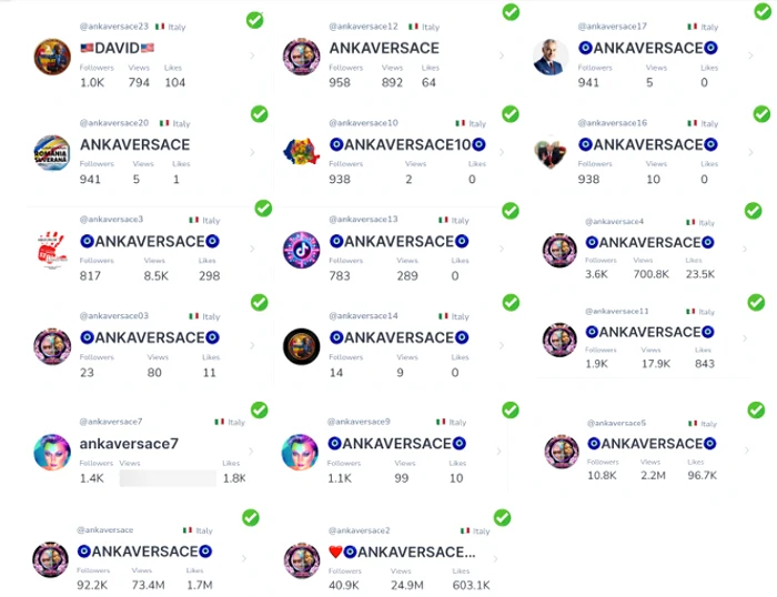 Anka Versace, a coordinated network promoting conspiracy theories on Tiktok Photo: Efork