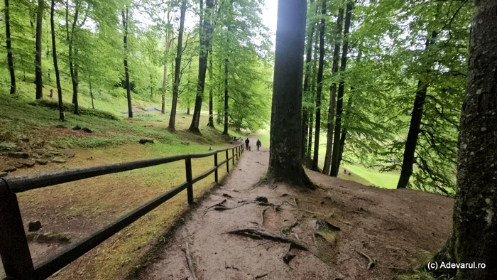 The ancient paved road. Photo: Daniel Guță. TRUTH