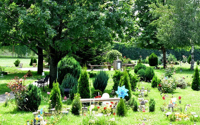 Animal cemetery. Source: Heaven of animals. Facebook