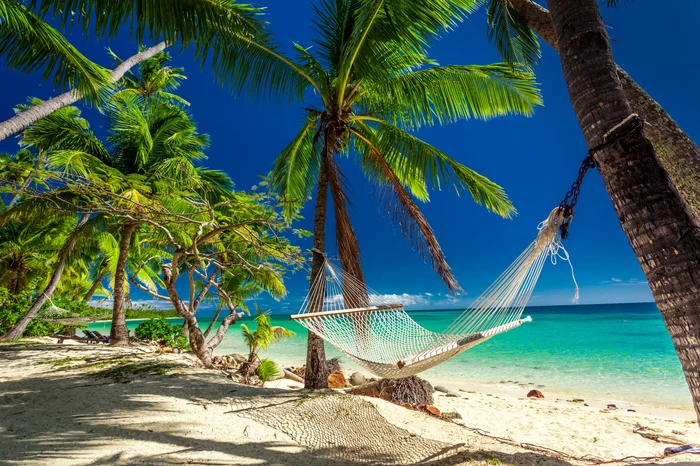 Hamac la umbra palmierilor de pe insulele tropicale Fiji - plaja FOTO Shutterstock