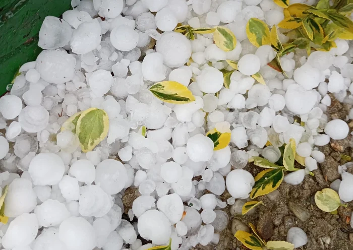Hail affected the gardens and greenhouses: Meteoplus