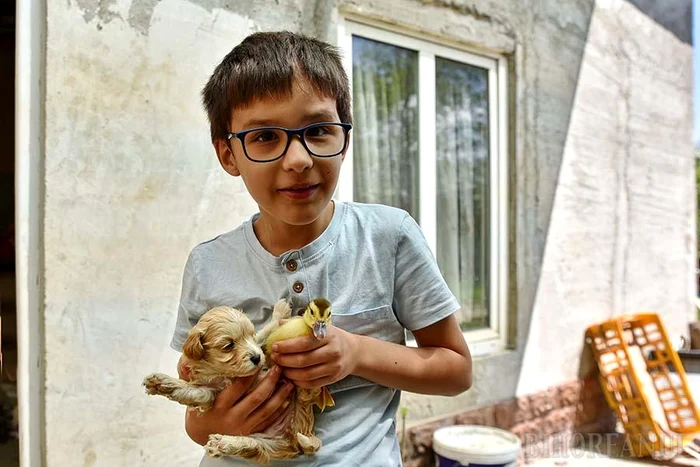 Darius Miculiță now has a normal childhood Photo bihorean