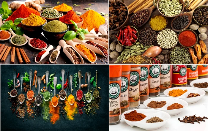 Collage of images with different spices photo archive truth