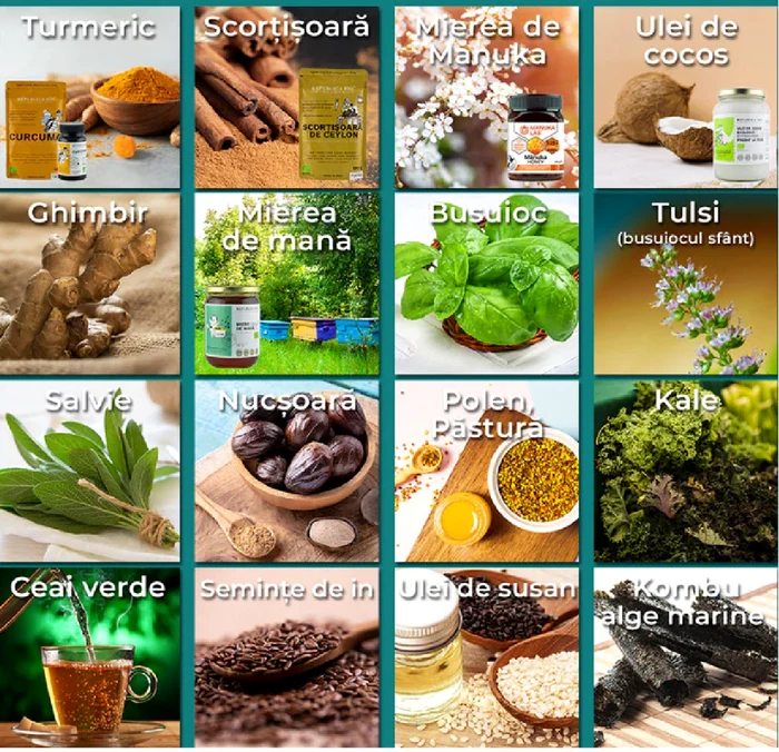 Spice collage and other foods with anti -inflammatory and anticancer role Photo Republic of Bio