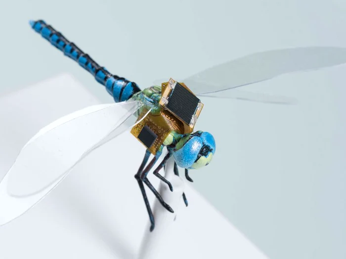 Minidrone in Insect Fom/Photo: X