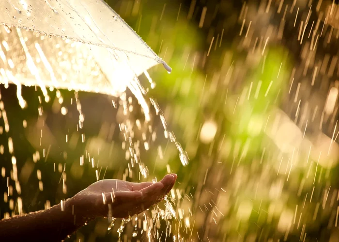 The weather will be rainy Saturday photo: Adevărul
