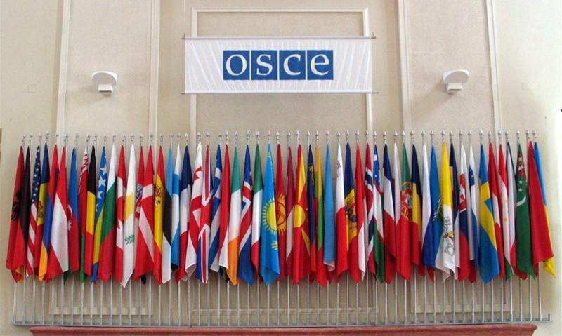 OSCE: Democratic elections in Poland, but with reservations