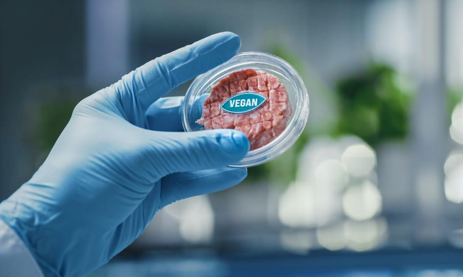 The superbacteria will not be created in the laboratory, but the trail leads to Asia anyway