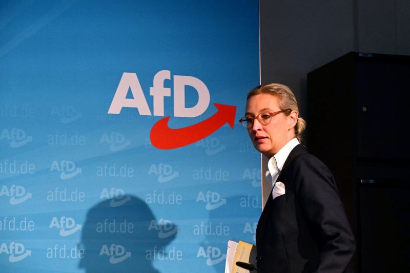 The German Internal Intelligence Service suspends AFD classification as a 