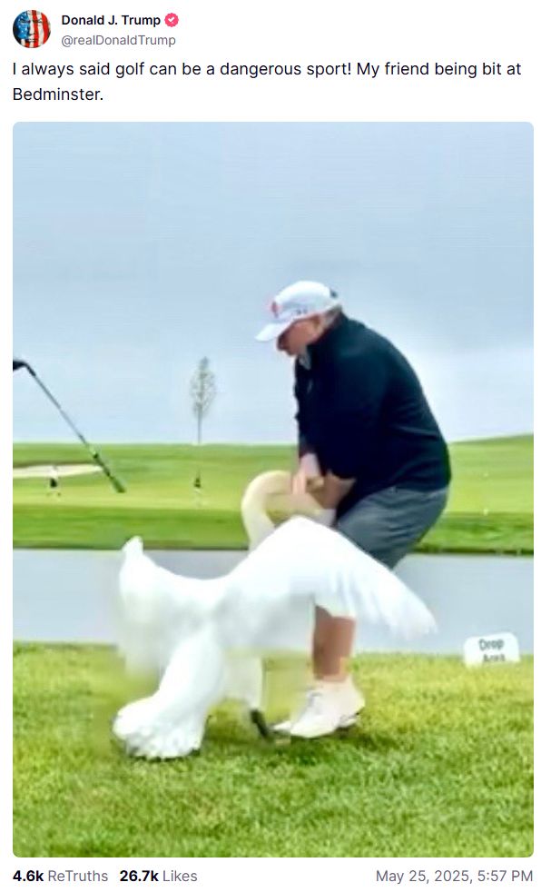 Trump on the day of a large -scale attack on Ukraine wrote a post about how Witkoff bite the groin of the goose photo 1