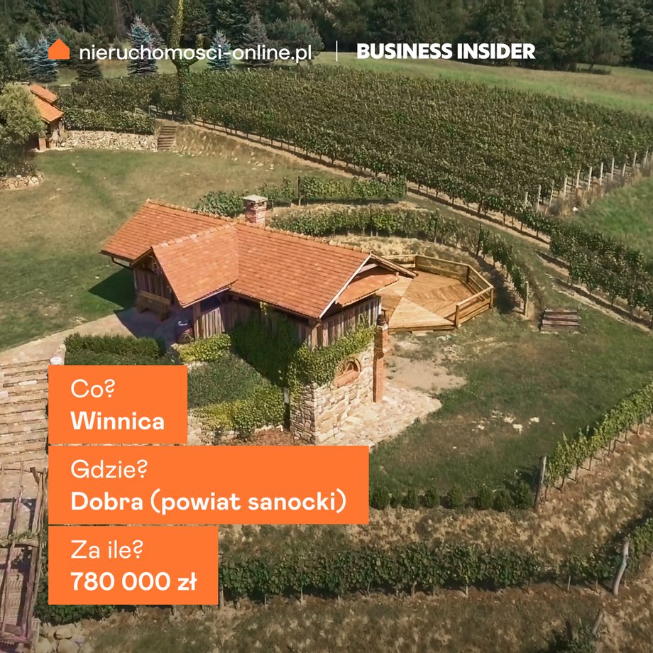 Vineyard in the San Valley
