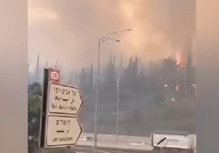 Devastating fires in Israel / YouTube video capture