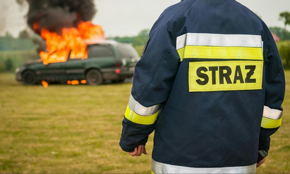 Firefighters, nurses and who else? These competitions enjoy the greatest respect