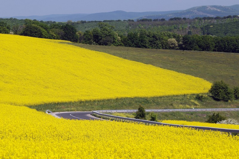 Minister of Agriculture: In a maximum of one week the contract for the Siret - Bărăgan channel is signed