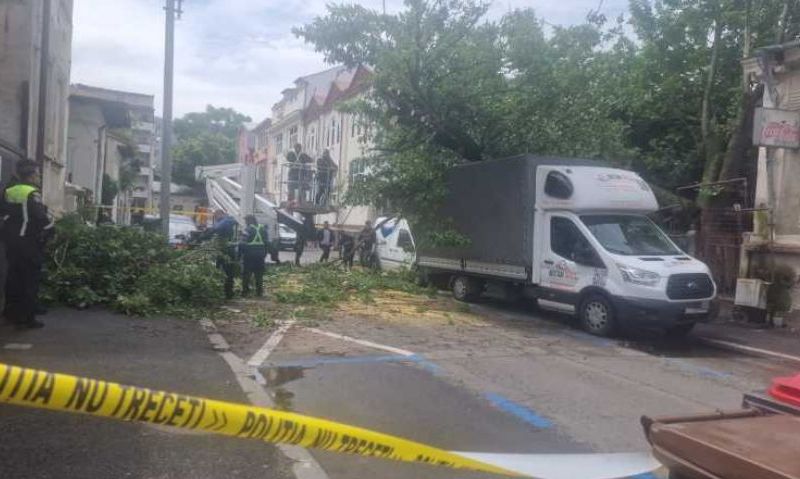 Fall fell over four parked cars, in Bucharest. A gas pipeline was damaged